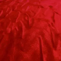 Item thumbnail for item 4302bfd9-7e25-4325-b8b7-b8cae36d623d