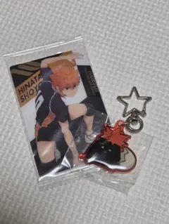 ハイキュー!!　日向翔陽2点 セット