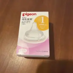 Item thumbnail for item 066ddd4c-9957-47f0-b010-5207e51fb4a2