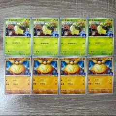 ポケモンカード マクノシタ　チコリータ　プロモ　セット