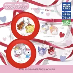 サンリオキャラクターズ　なかよしドロップチャーム　2個セット