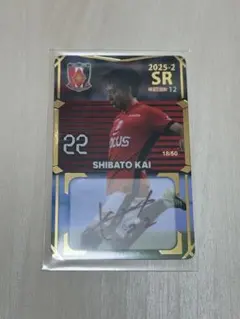 2026年最新】オンサイトカードの人気アイテム - メルカリ