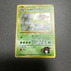 2026年最新】エリカのフシギバナの人気アイテム - メルカリ