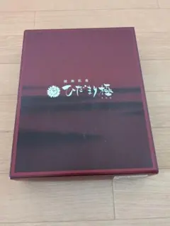 健康肌着　ひだまり極　紳士長首U首シャツ　LL