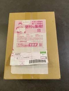 【段ボール未開封】熱風のアリーナ 新品未開封1box プロモ付き【ポケセン産】