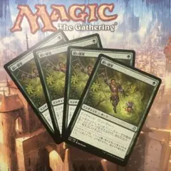 MTG 鋭い感覚 日本語4枚セット
