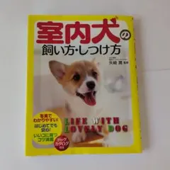 室内犬の飼い方・しつけ方