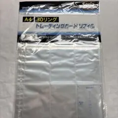 Item thumbnail for item a8f4fec6-e601-4f7f-b67b-f38f94518761