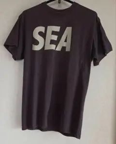 新品】MIZUNO WINDANDSEA Loose Fit S/S Tee - メルカリ