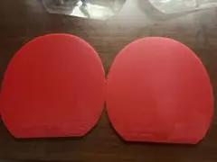 ディグニクス09c 赤　2点セット