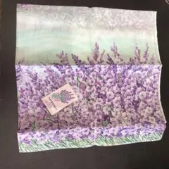 Item thumbnail for item 551874e4-ea73-44cb-9bb6-c12c1e60d480