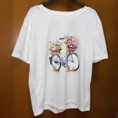 Item thumbnail for item 1a1a7109-d398-4616-883c-98c77550d54a