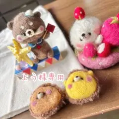 羊毛フェルト　専用ページ