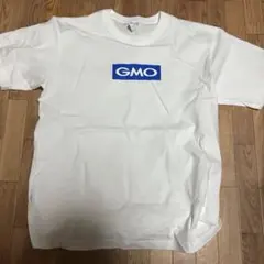 Item thumbnail for item 950ceec0-0db9-4498-ac78-d22afe10f0d8