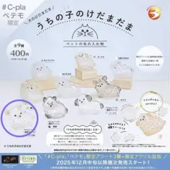 うちの子のけだまだま　犬　チワワ　白