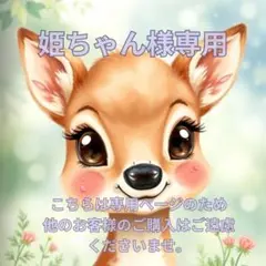 姫ちゃん様専用ページです！