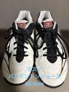 Item thumbnail for item 223e04f9-2a9c-4566-8236-41b253e2ae0c