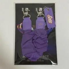 中島颯太　マルチストラップ