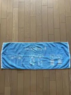 サウシードッグ/SaucyDog 武道館タオル