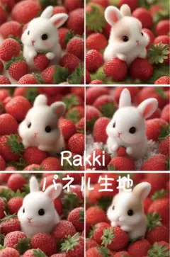Rakkiパネル生地　6柄