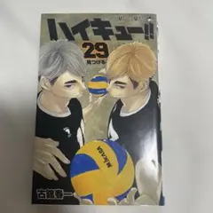 ハイキュー!! 29