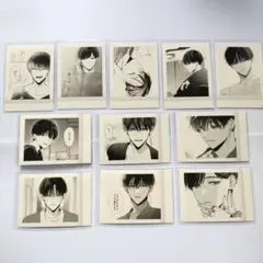 踏んだり、蹴ったり、愛したり　ぱしゃこれ　五百森泰　11枚セット