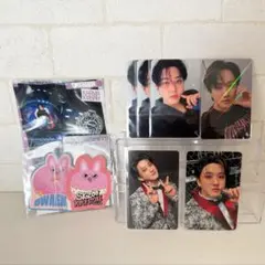 Stray Kids チャンビン karmaトレカ ステッカー セット