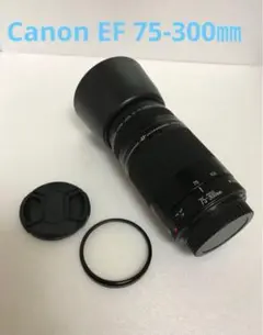 2026年最新】canon eos kiss x10 望遠レンズの人気アイテム - メルカリ