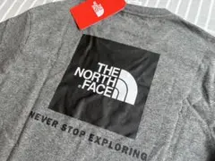 THE NORTH FACE Tシャツ グレー