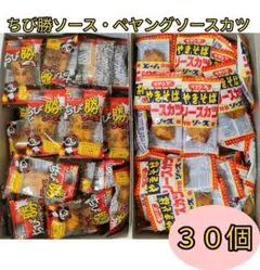 ソースカツ　2種30個　送料無料