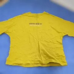 BREEZE トリケラトプス　イエロー Tシャツ 140サイズ