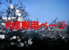 2025年最新】アガリズム ブラの人気アイテム - メルカリ