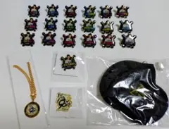 阪神タイガース ファンクラブ応援デープレゼントセット