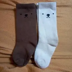 キッズ靴下 クマ柄 ブラウン/ホワイト 13-16cm
