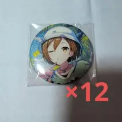 プロジェクトセカイ グリッター缶バッジ46C MEIKO12点②