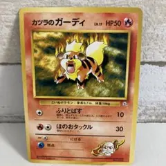 【絶版】状態良♢(旧裏面)ジム第3弾「グレンシティジム　カツラ」カツラのガーディ