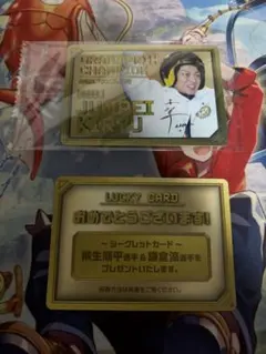 新品未開封 初代 妖怪メダル ブシニャン 大復活祭 未開封 レジェンド