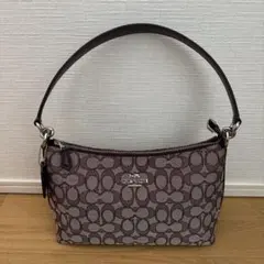 COACH シグネチャー ワンショルダーバッグ ミニバッグ レディース