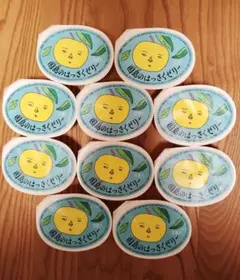 因島のはっさくゼリー　10個　送料無料　広島名産果物ゼリーのサムネイル