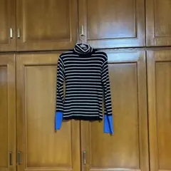 ストライプ タートルネックセーター