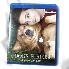 僕のワンダフル・ライフ ブルーレイ