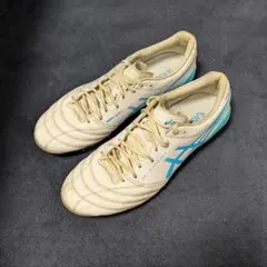 ASICS DS LIGHT X-FLY