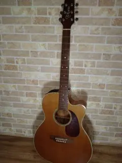 2025年最新】takamine アコースティックギターの人気アイテム - メルカリ