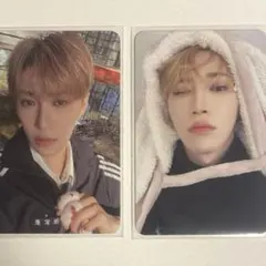 ALD1 EUPHORIA うさぎ毛布 アルノ ジアハオ トレカ