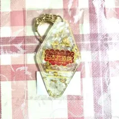 新品 リアルアキバボーイズ 日本武道館 汽車旅館鑰匙圈