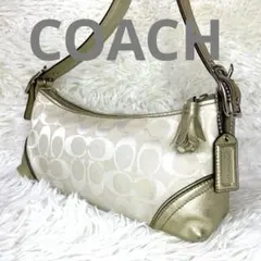 COACH シグネチャー ワンショルダー パイソン Y2K ターンロック - メルカリ