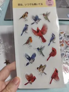 水彩鳥シール　野鳥モチーフ