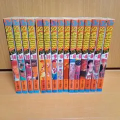 SLAM DUNK 1〜15巻セット