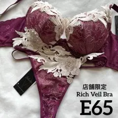 サルート 94G ブラックスワン 店舗限定 ブラ E65 & ソングM WI