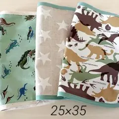 恐竜柄⭐ランチョンマット⭐ランチマット⭐3枚組セット⭐25×35⭐給食ナフキン